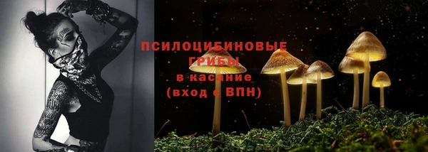спиды Осинники