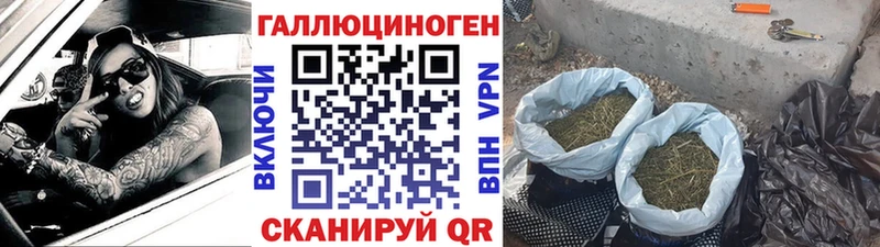 Галлюциногенные грибы MAGIC MUSHROOMS  купить наркоту  Пойковский 
